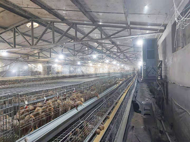 東營養(yǎng)雞廠養(yǎng)殖環(huán)境控制機(jī)組使用示例